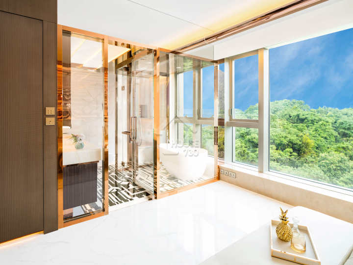 富豪.山峯 示範單位 - House730