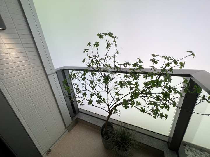 NOVO LAND 第1B期 示範單位 Bergen 第 1 座 26 樓 A1 單位 - House730