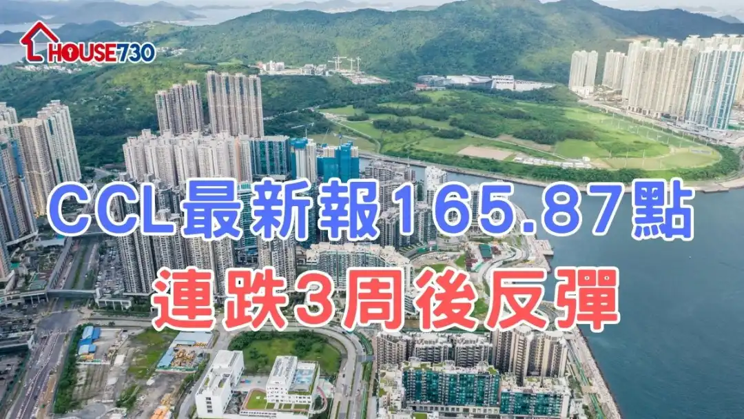 CCL最新报165.87点 连跌3周后反弹