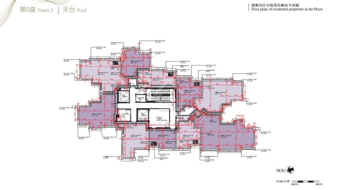 屯門飛揚2期5座天台平面圖