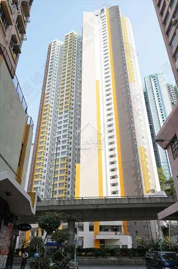 荃灣市中心 尚文苑 高層 其他 House730-7243361