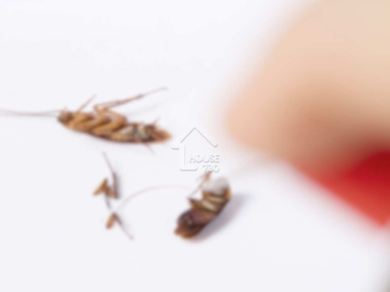 b592a694-38a7-436c-a9c1-3c6f4be301b3.png