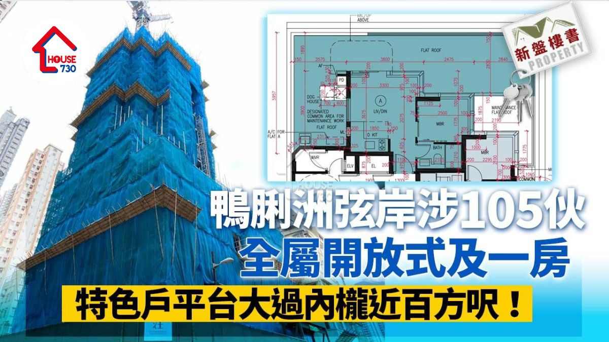 新盤樓書｜鴨脷洲弦岸涉105伙 全屬開放式及一房 特色戶平台大過內櫳近百方呎