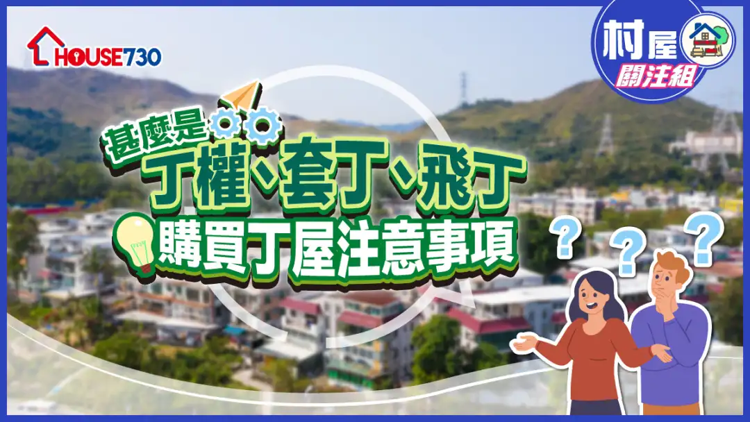 【丁屋懒人包】甚麽是丁权、套丁、飞丁+购买丁屋注意事项
