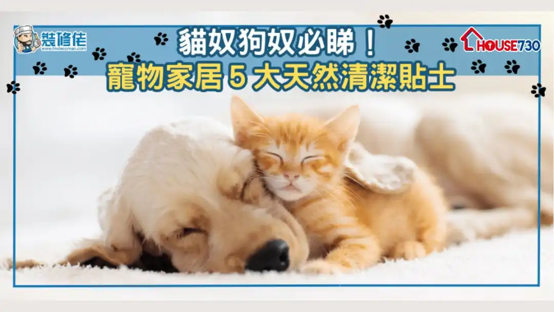 【毛孩健康】猫奴狗奴必睇！宠物家居５大天然清洁贴士