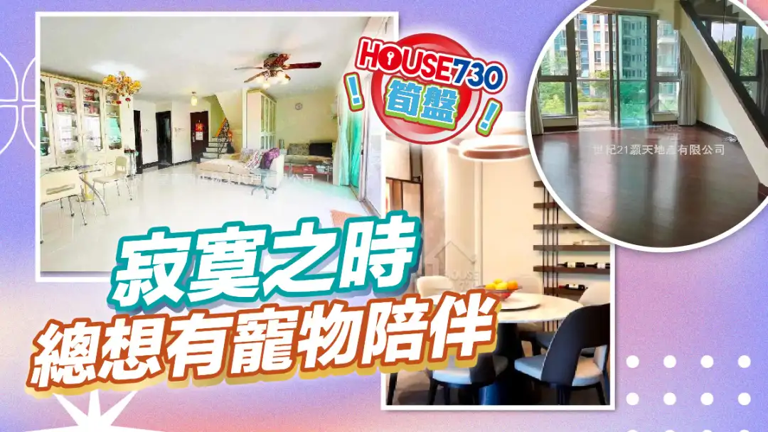 熱賣樓盤-寂寞之時 總想有寵物陪伴-House730