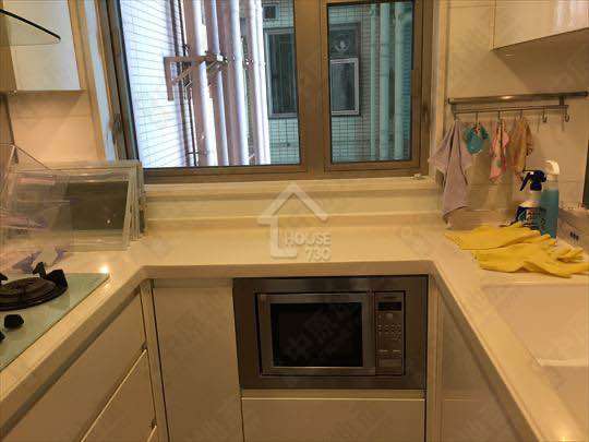 Olympic Station HARBOUR GREEN Lower Floor House730-7054107