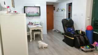 長沙灣 | 荔枝角 泓景臺 高層 House730-[7234809]