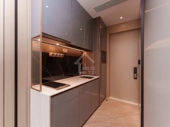 HENLEY PARK 示範單位 1B 29樓F室 - House730