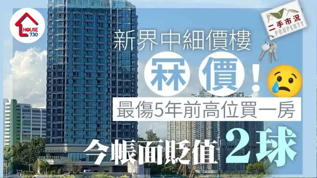 新界中细价楼冧价！5年前高位入市一房 今帐面惨输「2球」｜二手市况