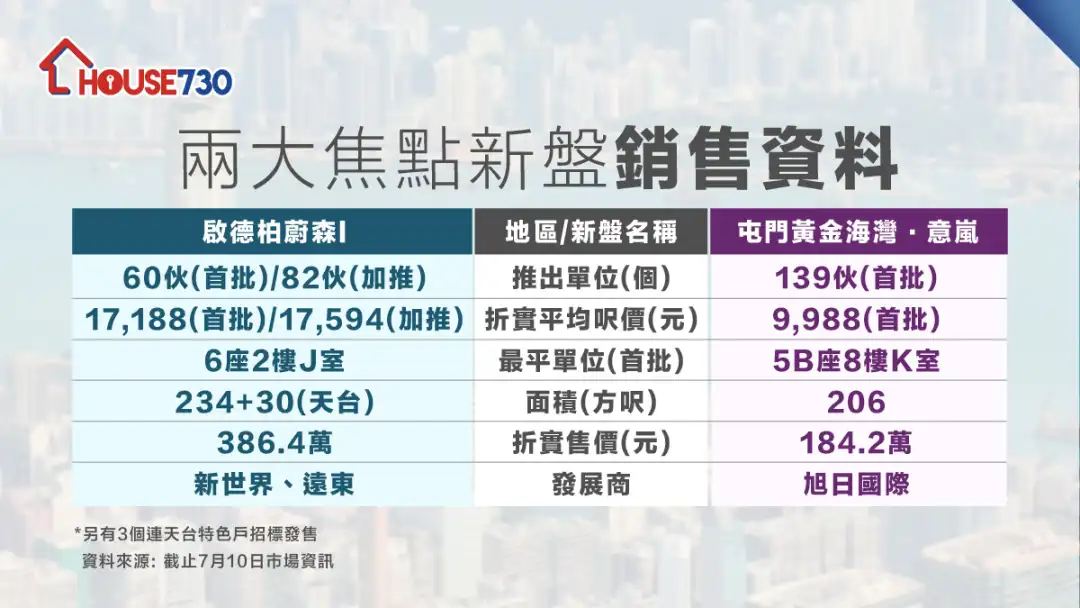 两大焦点新盘销售资料