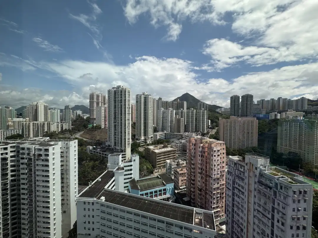 住户可环回欣赏九龙区山景，同时饱览飞鹅山及狮子山景。