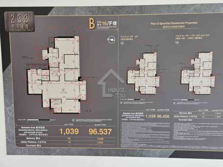 太子道西233號 示範單位 - House730