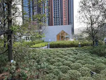 柏傲莊 6