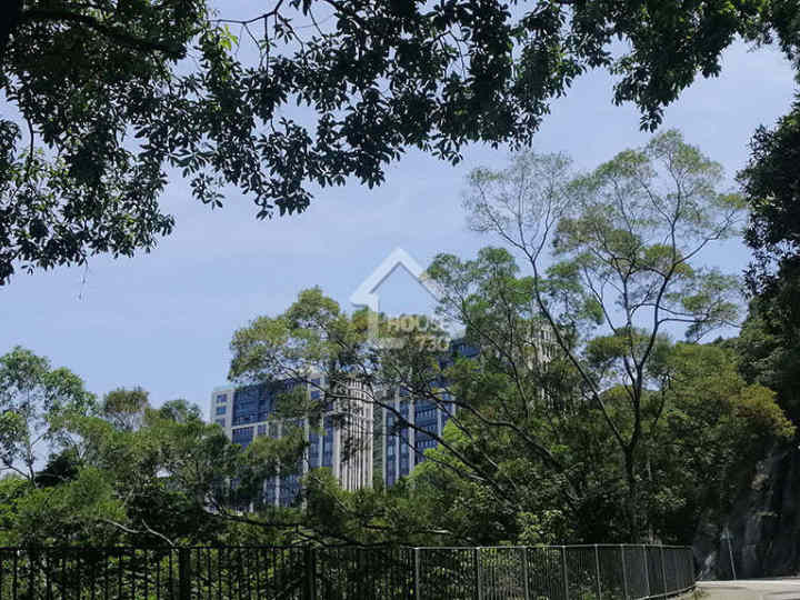 Mount Nicholson 附近環境 - House730