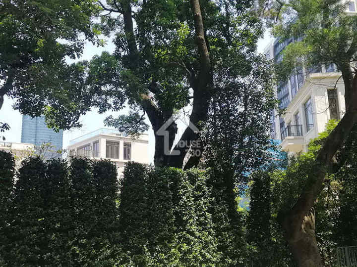 Mount Nicholson II 附近環境 - House730
