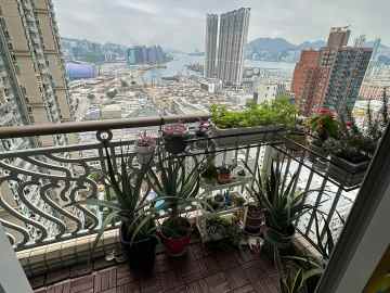 土瓜灣 傲雲峰 House730-[9255519]