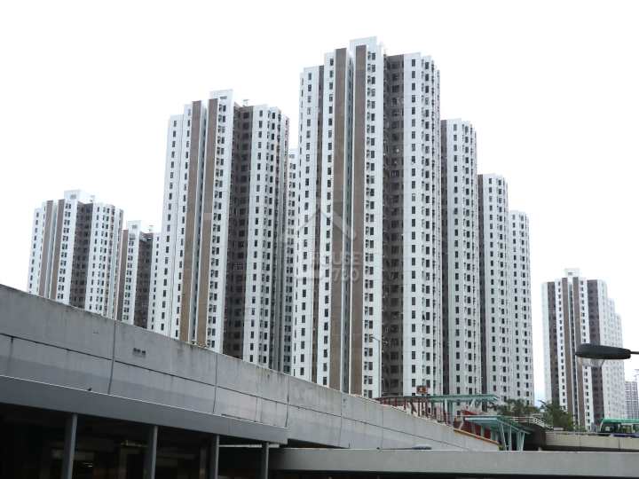 綠楊新邨 物業外貌 - House730