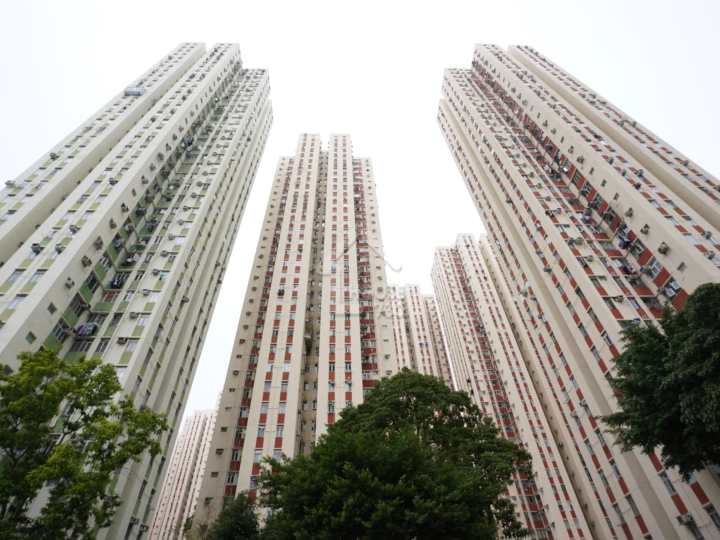 麗晶花園 物業外貌 - House730